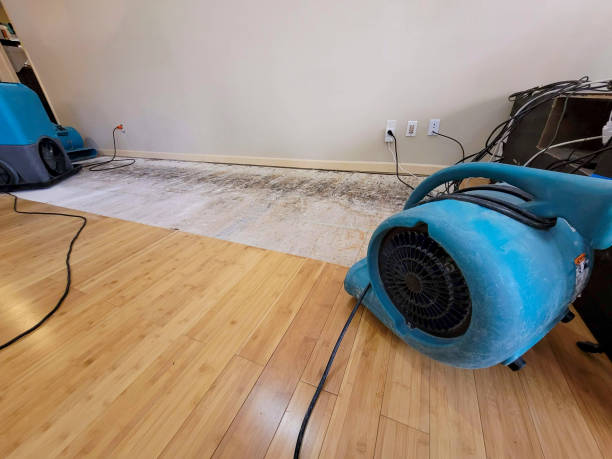 Professional Sewage Cleanup technician working in Bouse, AZ